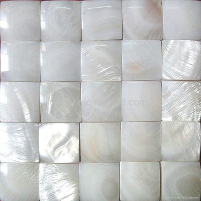 白色淡水貝馬賽克