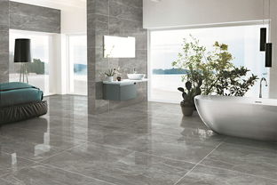 威爾頓瓷磚 瓷磚環(huán)境效果展示